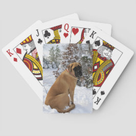 English Mastiff dog "Snow Pose" Foto Spielkarten
