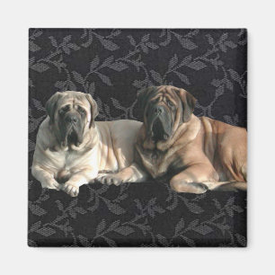 English Mastiff Freunde Magnet