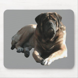 English Mastiff große Dogge  Mousepad