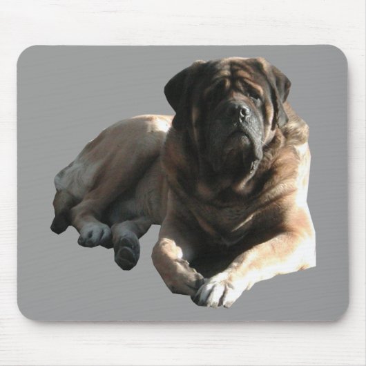 English Mastiff große Dogge  Mousepad (Vorne)