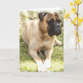 English Mastiff Grußkarte Karte (Gelbe Blume)