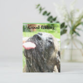 English Mastiff gutes Gefühl  Postkarte (Stehend Vorderseite)