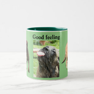 English Mastiff gutes Gefühl Zweifarbige Tasse