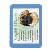 English Mastiff Heritage of Liebe Magnet (Vertikal)
