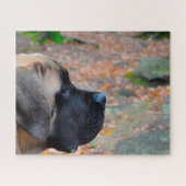 English Mastiff. Puzzle (Horizontal)