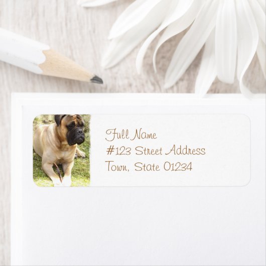 English Mastiff Return Address Label (Insitu)