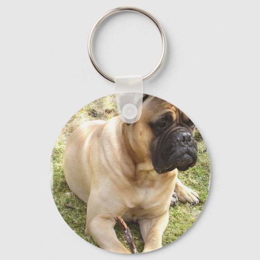 English Mastiff Schlüsselanhänger (Vorderseite)