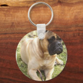 English Mastiff Schlüsselanhänger (Vorderseite)