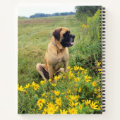 English Mastiff Spiralnotebook Notizblock (Rückseite)