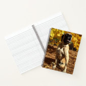English Mastiff Spiralnotebook Notizblock (Innenseite)