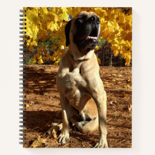 English Mastiff Spiralnotebook Notizblock