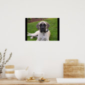 English Mastiff Welppy Poster (Küche)