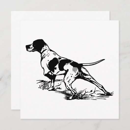 English Pointer (Vorne/Hinten)