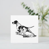 English Pointer (Stehend Vorderseite)