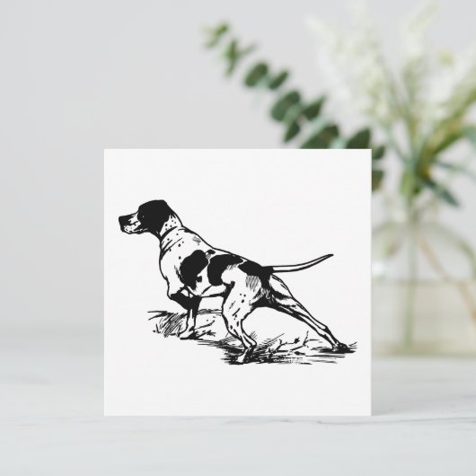 English Pointer (Stehend Vorderseite)