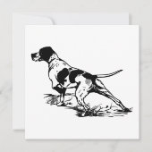 English Pointer (Vorderseite)