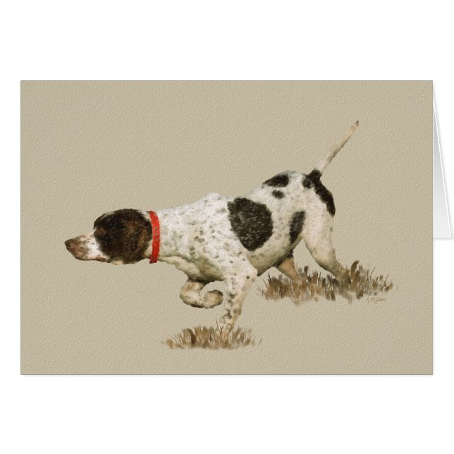 English Pointer (Vorderseite (Horizontal))