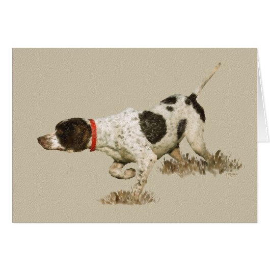 English Pointer (Vorderseite (Horizontal))