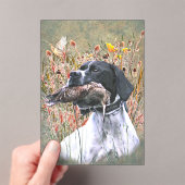 English pointer acryleinladungen (Insitu (Handheld))