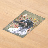 English pointer acryleinladungen (Ablage )