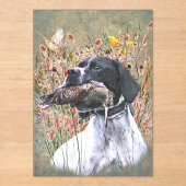 English pointer acryleinladungen (Vorderseite)