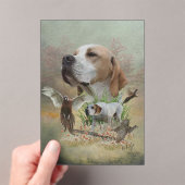 English Pointer  Acryleinladungen (Insitu (Handheld))