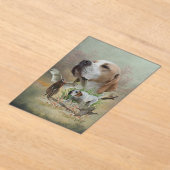 English Pointer  Acryleinladungen (Ablage )