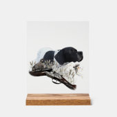 English Pointer Acrylschild (Vorderseite)