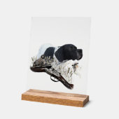 English Pointer Acrylschild (Winkel)