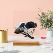 English Pointer Acrylschild (Hochzeit)