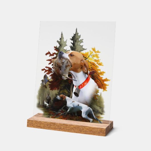 English Pointer  Acrylschild (Winkel)