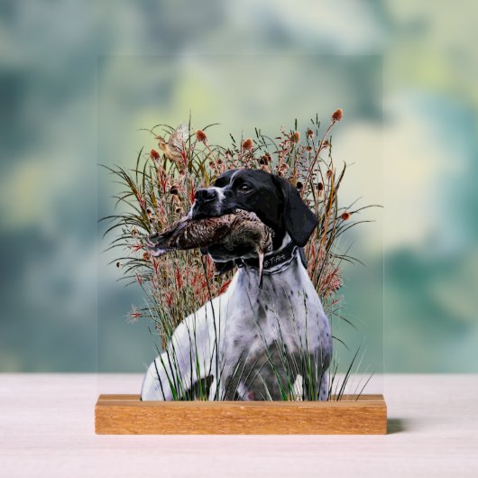 English Pointer  Acrylschild (Neutral)