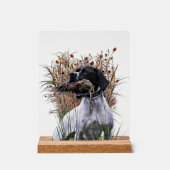 English Pointer Acrylschild (Vorderseite)