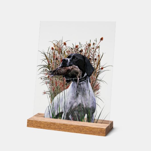 English Pointer  Acrylschild (Winkel)