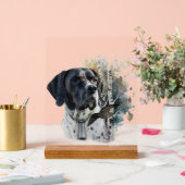 English Pointer Acrylschild (Hochzeit)