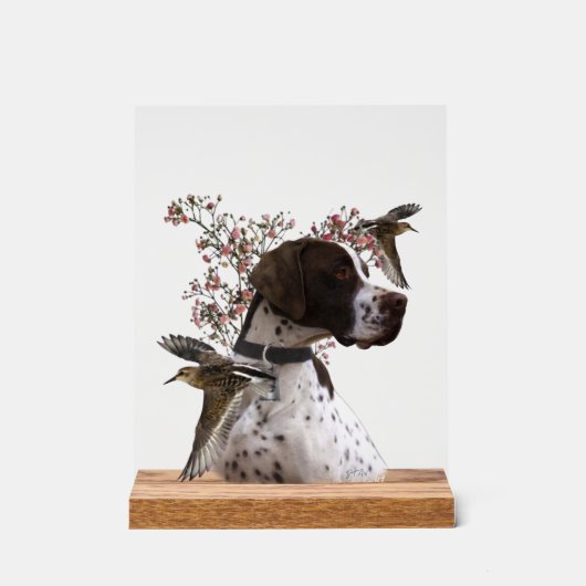 English Pointer  Acrylschild (Vorderseite)