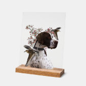 English Pointer  Acrylschild (Winkel)