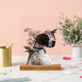 English Pointer Acrylschild (Hochzeit)