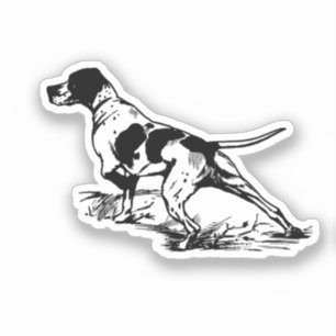 English Pointer Aufkleber