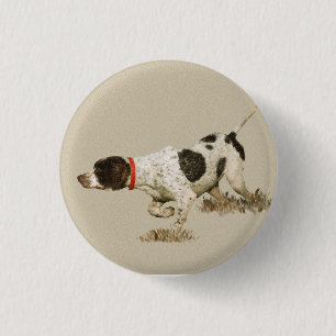 English Pointer Button
