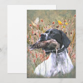 English pointer einladung (Vorne/Hinten)