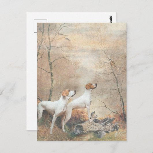 English Pointer jagt die Fasans Postkarte (Vorne/Hinten)