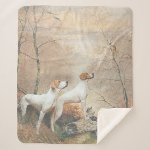 English Pointer jagt die Fasans   Sherpadecke