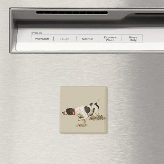 English Pointer Magnet (In Situ (Geschirrspüler))