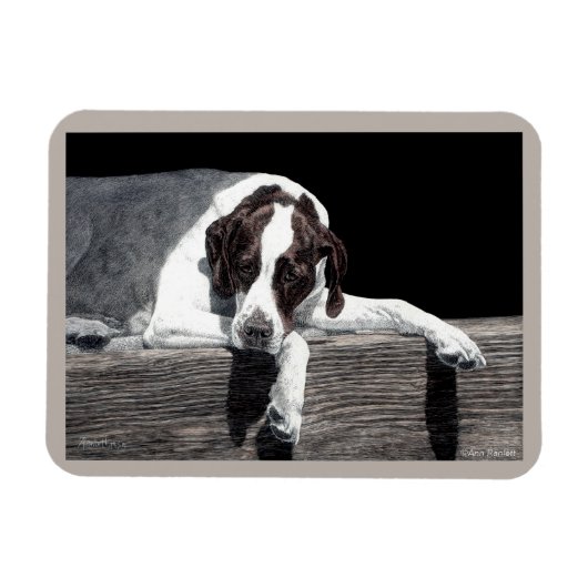 English Pointer Magnet - "Sophie" (Horizontal)