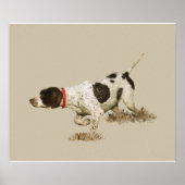 English Pointer Poster (Vorne)