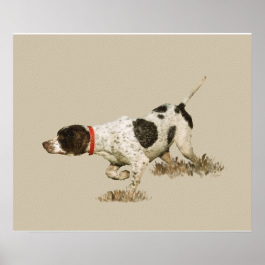 English Pointer Poster (Vorne)