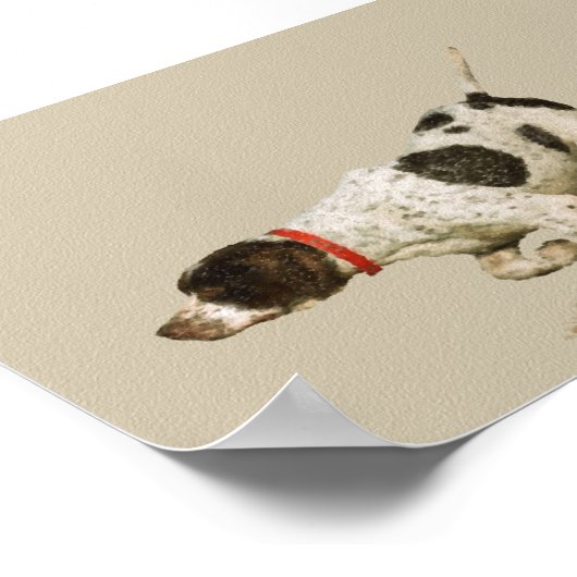English Pointer Poster (Ecke)