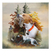 English Pointer Poster (Vorderseite)