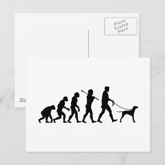 English Pointer Postkarte (Vorne/Hinten)